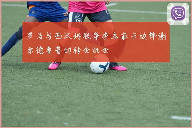 罗马与西汉姆联争夺本菲卡边锋谢尔德鲁普的转会机会